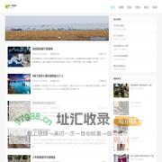 决一死战网