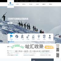 重庆远见信息技术有限公司