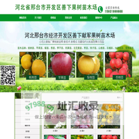 邢台经济开发区善下献军果树苗木场-果树苗新品种|果树苗批发