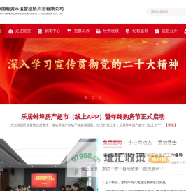 蚌埠市国有资本运营控股集团有限公司