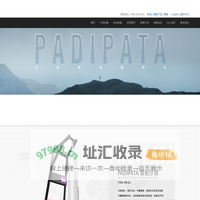 PADIPATA智能沙袋智能战绳官方网站|健身房器材搏击训练健身沙袋|成人拳击跆拳道训练家用专业智能沙袋