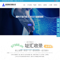 深圳市金利恒电子有限公司