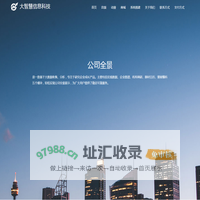 大智慧信息科技