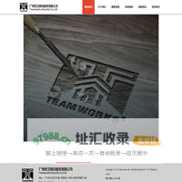 广州坦卫保安服务有限公司