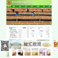 光华食品――博罗县柏塘光华食品有限公司