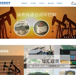 拓实信息技术有限公司