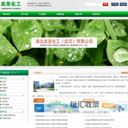 湖北龙圣化工（武汉）有限公司--湖北龙圣|龙圣化工|龙圣化工有限公司