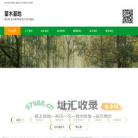 馒头柳 金叶榆 旱柳 垂柳价格 苗木 苗木基地