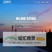 上海敏维软件技术有限公司