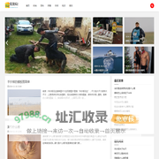 如龙似虎网