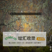 315安全导航 | 个性化入口