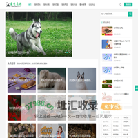 爱宠乐园-专属宠物乐园,关爱您的宠物幸福生活