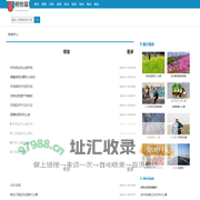 俯拾皆是网