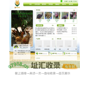 积石山县晓华特种珍禽养殖农民专业合作社_甘肃积石山七彩山鸡_甘肃积石山珍珠鸡_甘肃积石山贵妃鸡_甘肃积石山火鸡_甘肃积石山鹧鸪鸡