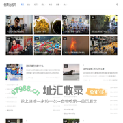 倒果为因网