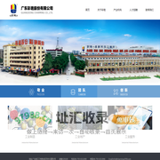 广东彩艳股份有限公司