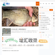 钓鱼人 - 钓鱼人交流钓鱼技巧的网站