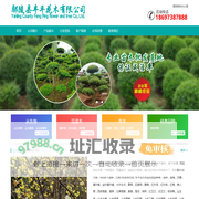 首页 - 鄢陵县丰平花木有限公司