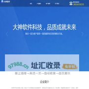 大神软件科技 - 自动化软件开发