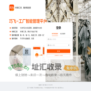 巧飞