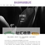 贵州洺丰科技有限公司