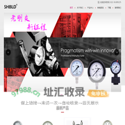 布雷迪压力表 -www.shbld.com