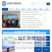 山东省知识产权服务业协会