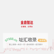 金鼎智达