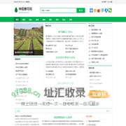 神摇意夺网