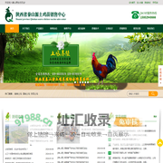 秦山源_土鸡_土鸡养殖_土鸡蛋批发_土鸡收购_土鸡苗供应_西北地区优质土鸡种苗供应商