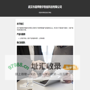 武汉市震烨数字智能科技有限公司