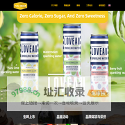 上海兰戴贸易有限公司