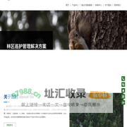 盈创星空（北京）科技有限公司