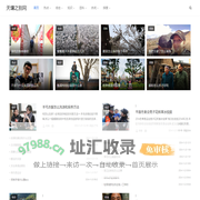 天壤之别网