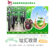 首页 - 济南茄果种业发展有限公司 | 茄子----