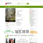 肺腑之言网