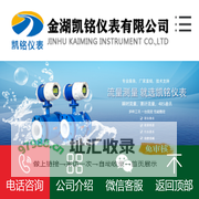 污水流量计|化工|明渠|电磁|生活|工业|耐腐蚀计量表-金湖凯铭仪表有限公司