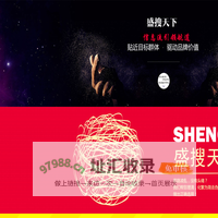 上海盛搜信息技术有限公司
