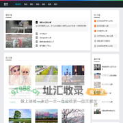未卜先知网