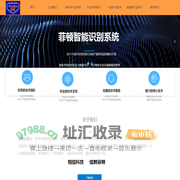 菲顿科技（重庆）有限公司