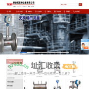 泰安拓思特仪表有限公司