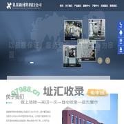 某某新材料科技有限公司