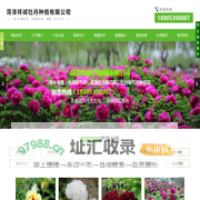 菏泽祥诚牡丹种植有限公司-菏泽牡丹芍药种植基地,菏泽牡丹芍药批发,菏泽牡丹哪家好,牡丹芍药价格