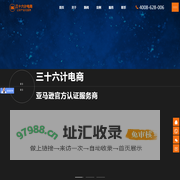 亚马逊代运营_eBay代运营_亚马逊店铺托管公司-苏州三十六计电商