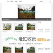 年妮影视解说网