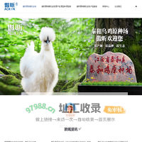 傲昕原种泰和乌鸡