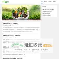 一盆植物网-分享盆栽,多肉,养花,植物常识。