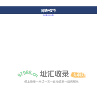 网站开发中