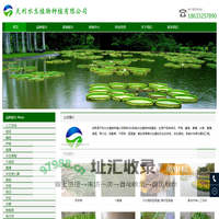 水生植物_沉水植物_人工浮岛-_浮动湿地-天利水生植物