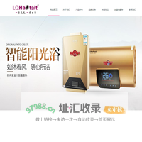 专业生产厨卫电器